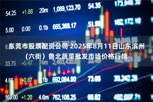 东莞市股票配资公司 2025年8月11日山东滨州(六街）鲁北蔬菜批发市场价格行情