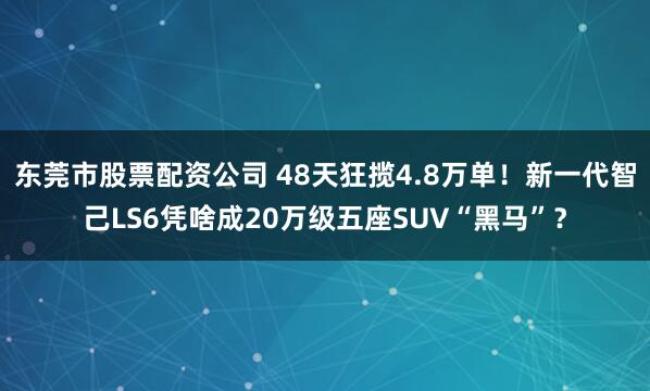 东莞市股票配资公司 48天狂揽4.8万单！新一代智己LS6凭啥成20万级五座SUV“黑马”？