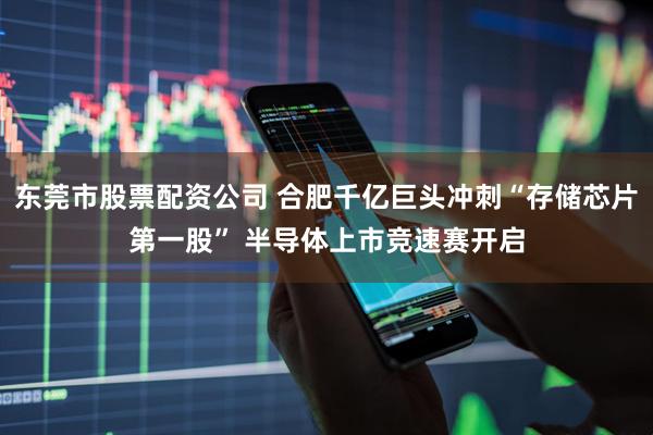 东莞市股票配资公司 合肥千亿巨头冲刺“存储芯片第一股” 半导体上市竞速赛开启