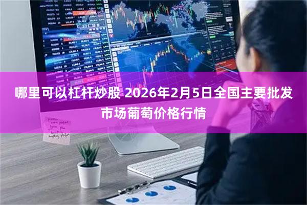 哪里可以杠杆炒股 2026年2月5日全国主要批发市场葡萄价格行情