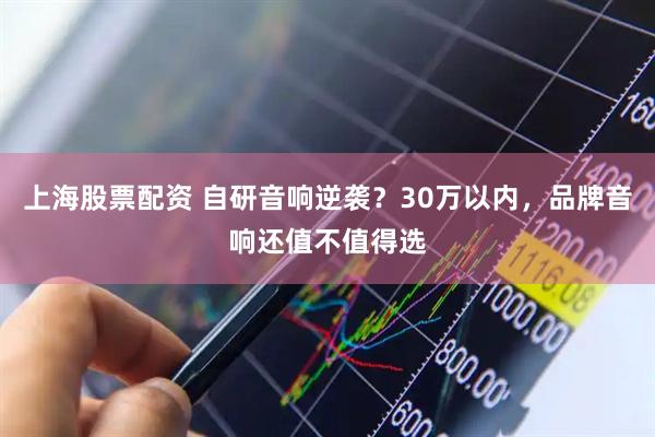 上海股票配资 自研音响逆袭？30万以内，品牌音响还值不值得选